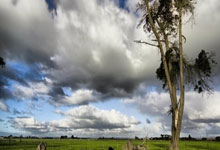 皇家马德里战胜对手，小组出线压力缓解