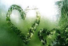 伊普斯维奇主场告捷，迎来复苏