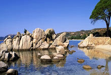 热刺在主场大胜谢菲联，继续保持不败记录